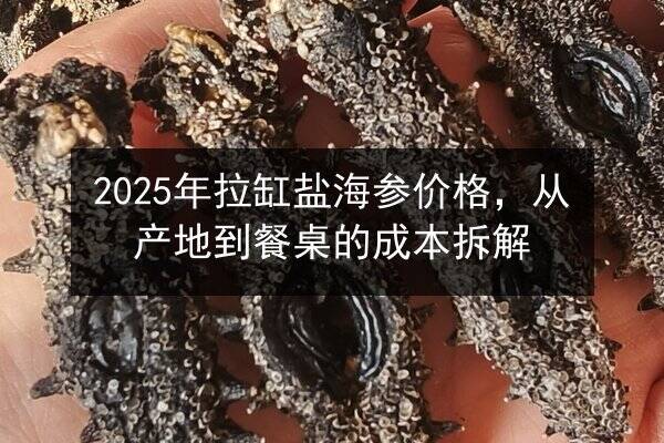 2025年拉缸盐海参价格，从产地到餐桌的成本拆解