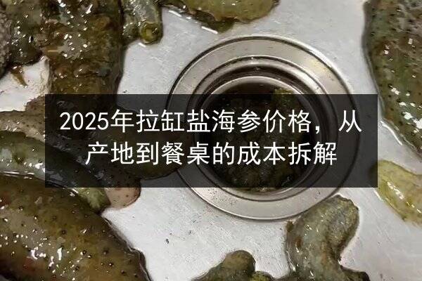 2025年拉缸盐海参价格，从产地到餐桌的成本拆解