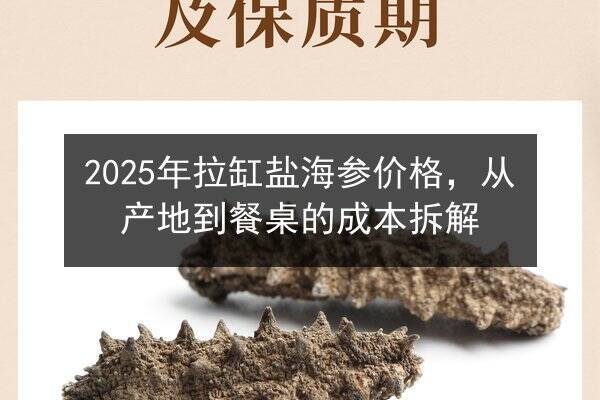 2025年拉缸盐海参价格，从产地到餐桌的成本拆解