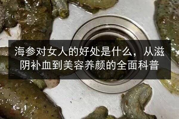 海参对女人的好处是什么,从滋阴补血到美容养颜的全面科普