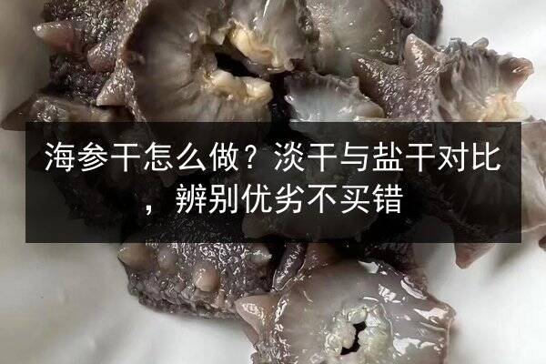 海参干怎么做?淡干与盐干对比,辨别优劣不买错