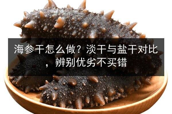 海参干怎么做?淡干与盐干对比,辨别优劣不买错
