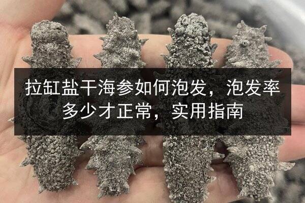 拉缸盐干海参如何泡发,泡发率多少才正常,实用指南