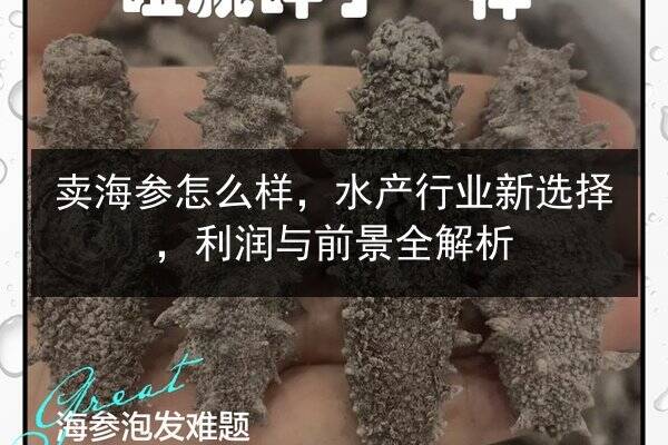 卖海参怎么样,水产行业新选择,利润与前景全解析