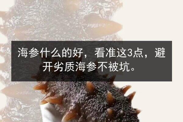 海参什么的好，看准这3点，避开劣质海参不被坑。