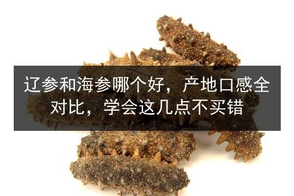 辽参和海参哪个好，产地口感全对比，学会这几点不买错