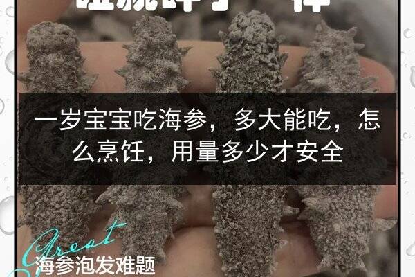 一岁宝宝吃海参,多大能吃,怎么烹饪,用量多少才安全