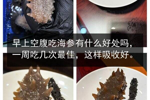 早上空腹吃海参有什么好处吗,一周吃几次最佳,这样吸收好。