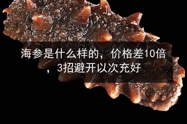 海参是什么样的,价格差10倍,3招避开以次充好