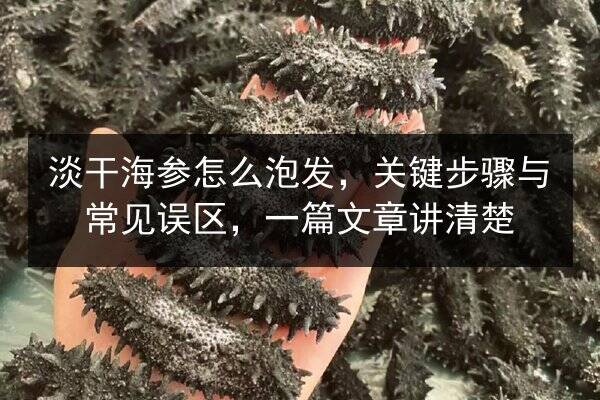 淡干海参怎么泡发，关键步骤与常见误区，一篇文章讲清楚