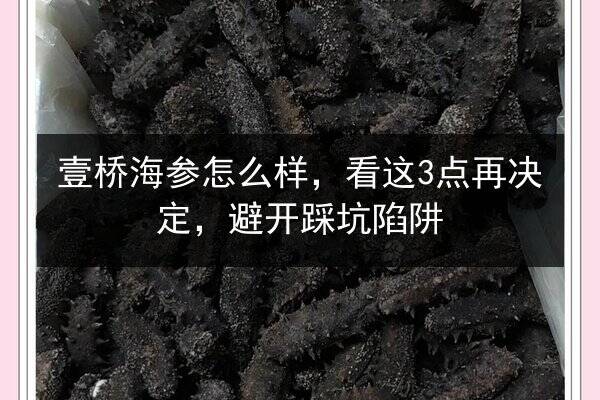 壹桥海参怎么样,看这3点再决定,避开踩坑陷阱