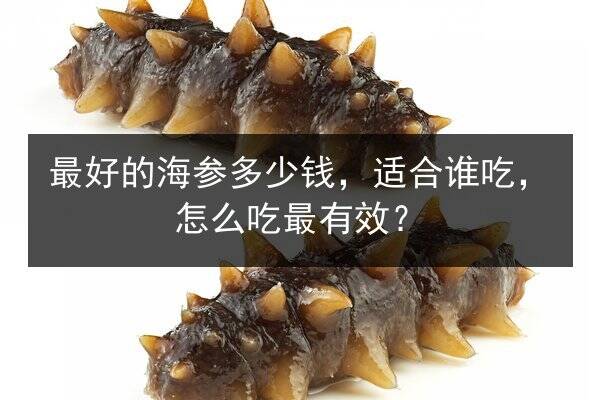 最好的海参多少钱,适合谁吃,怎么吃最有效?