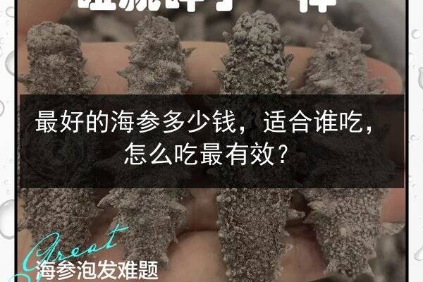 最好的海参多少钱,适合谁吃,怎么吃最有效?