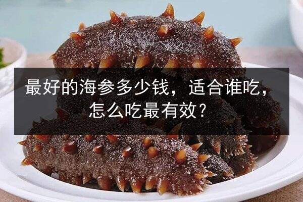 最好的海参多少钱,适合谁吃,怎么吃最有效?