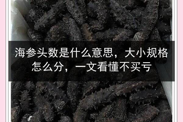 海参头数是什么意思，大小规格怎么分，一文看懂不买亏