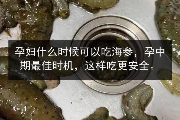 孕妇什么时候可以吃海参,孕中期最佳时机,这样吃更安全。
