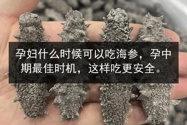 孕妇什么时候可以吃海参,孕中期最佳时机,这样吃更安全。