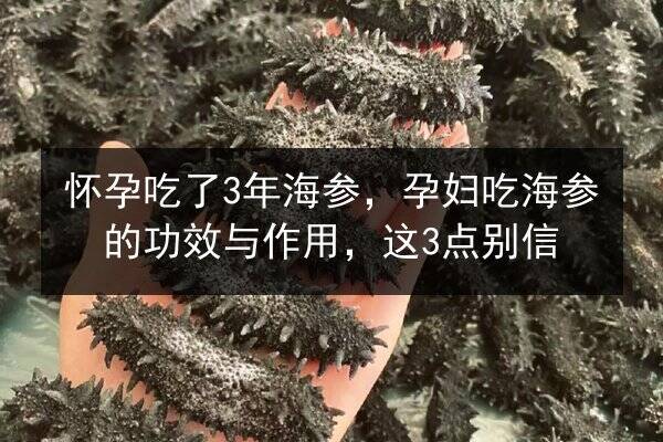 怀孕吃了3年海参，孕妇吃海参的功效与作用，这3点别信