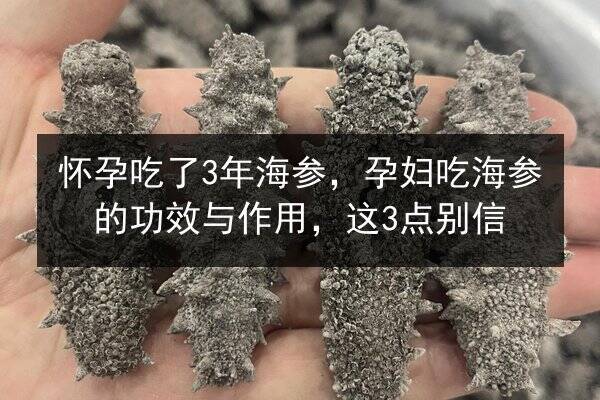 怀孕吃了3年海参，孕妇吃海参的功效与作用，这3点别信