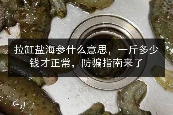 拉缸盐海参什么意思,一斤多少钱才正常,防骗指南来了