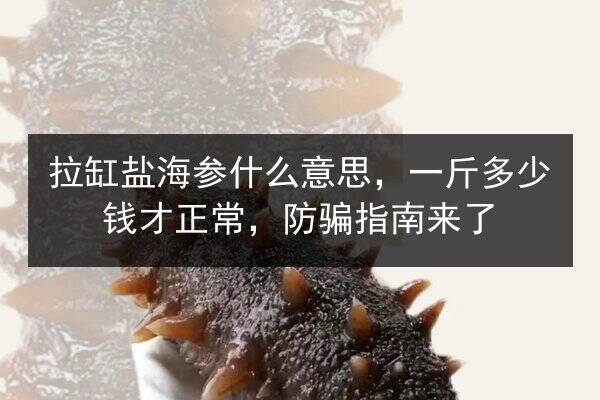 拉缸盐海参什么意思,一斤多少钱才正常,防骗指南来了