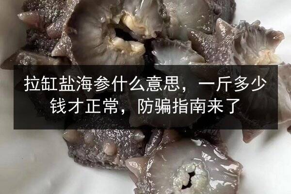 拉缸盐海参什么意思,一斤多少钱才正常,防骗指南来了