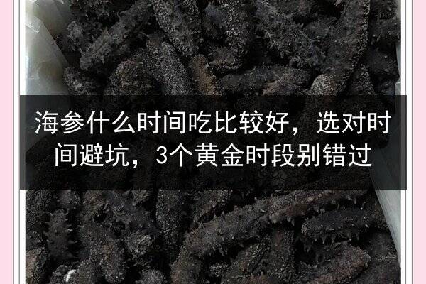 海参什么时间吃比较好,选对时间避坑,3个黄金时段别错过
