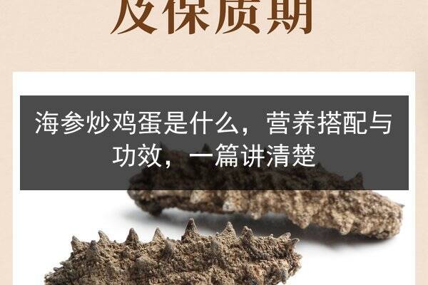 海参炒鸡蛋是什么,营养搭配与功效,一篇讲清楚