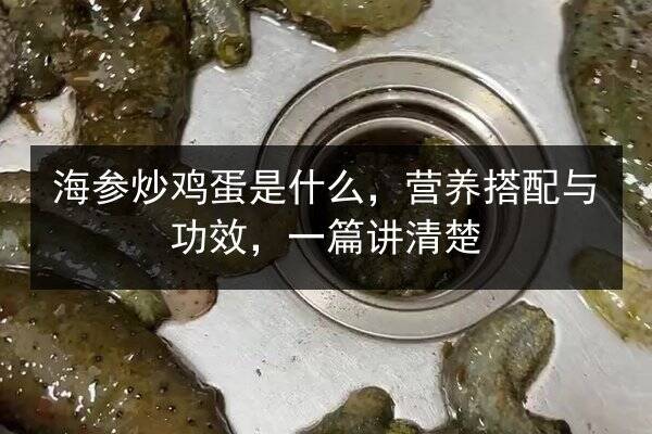 海参炒鸡蛋是什么,营养搭配与功效,一篇讲清楚
