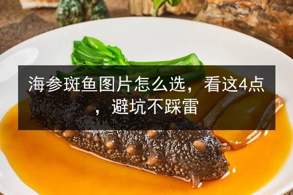 海参斑鱼图片怎么选，看这4点，避坑不踩雷