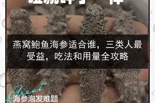 燕窝鲍鱼海参适合谁，三类人最受益，吃法和用量全攻略
