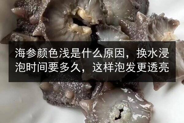 海参颜色浅是什么原因，换水浸泡时间要多久，这样泡发更透亮
