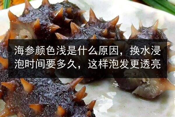 海参颜色浅是什么原因，换水浸泡时间要多久，这样泡发更透亮