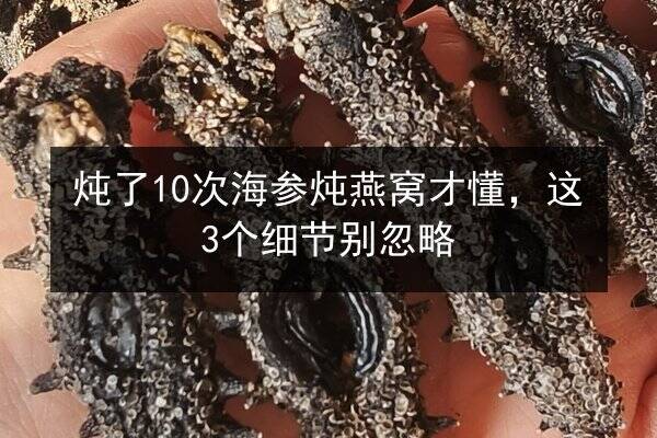 炖了10次海参炖燕窝才懂,这3个细节别忽略