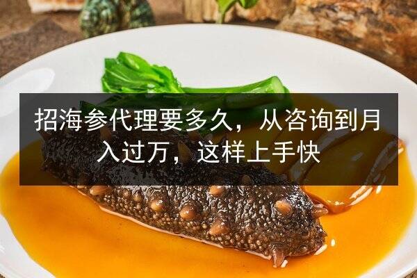 招海参代理要多久，从咨询到月入过万，这样上手快