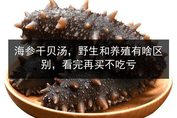 海参干贝汤，野生和养殖有啥区别，看完再买不吃亏