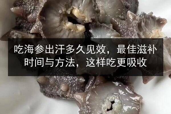 吃海参出汗多久见效,最佳滋补时间与方法,这样吃更吸收