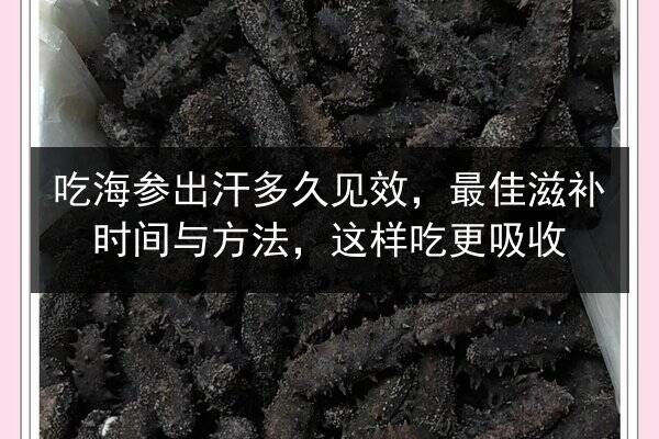 吃海参出汗多久见效,最佳滋补时间与方法,这样吃更吸收