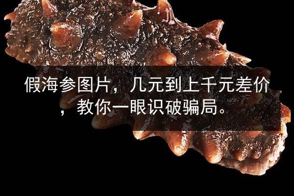 假海参图片，几元到上千元差价，教你一眼识破骗局。