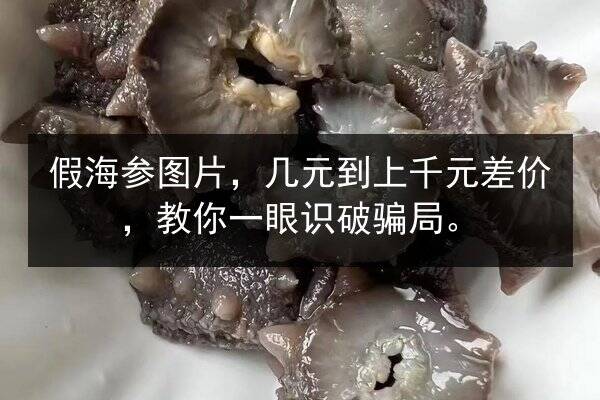 假海参图片，几元到上千元差价，教你一眼识破骗局。