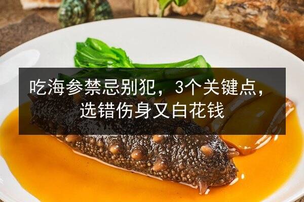 吃海参禁忌别犯,3个关键点,选错伤身又白花钱