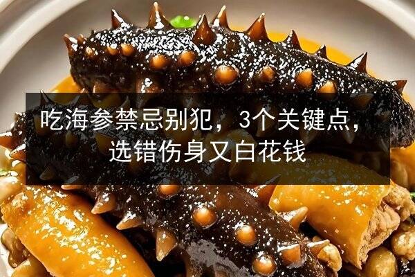 吃海参禁忌别犯,3个关键点,选错伤身又白花钱