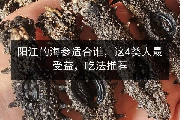 阳江的海参适合谁，这4类人最受益，吃法推荐