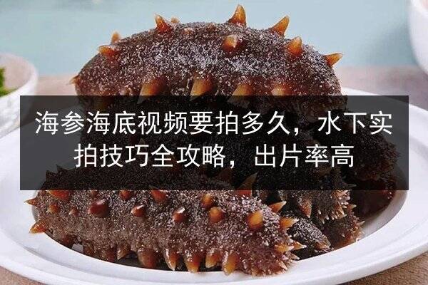 海参海底视频要拍多久，水下实拍技巧全攻略，出片率高