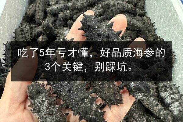 吃了5年亏才懂,好品质海参的3个关键,别踩坑。