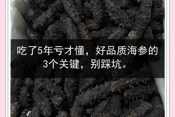 吃了5年亏才懂,好品质海参的3个关键,别踩坑。
