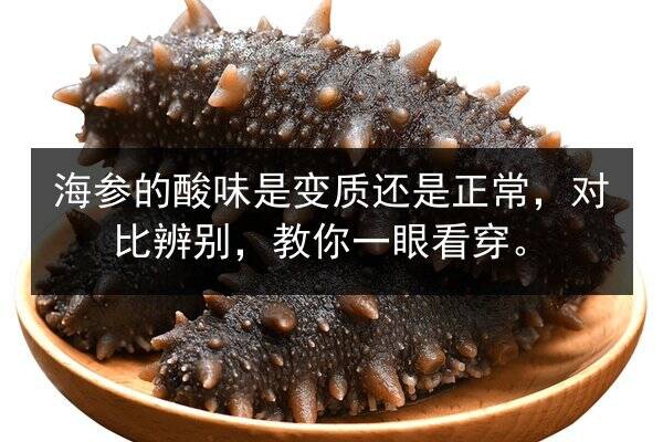 海参的酸味是变质还是正常，对比辨别，教你一眼看穿。