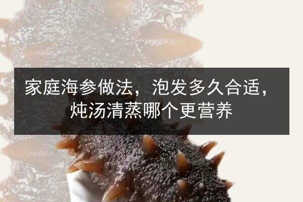 家庭海参做法,泡发多久合适,炖汤清蒸哪个更营养