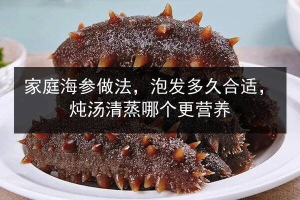 家庭海参做法,泡发多久合适,炖汤清蒸哪个更营养