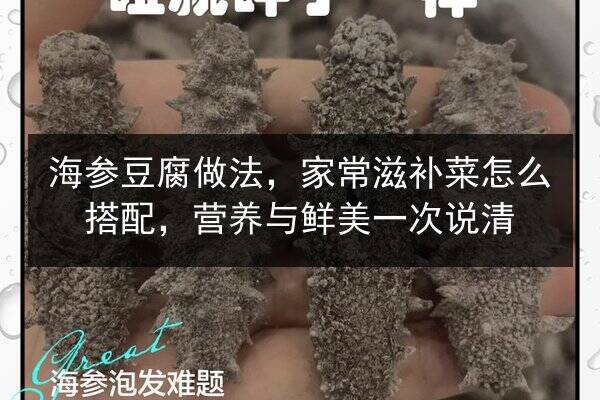 海参豆腐做法，家常滋补菜怎么搭配，营养与鲜美一次说清